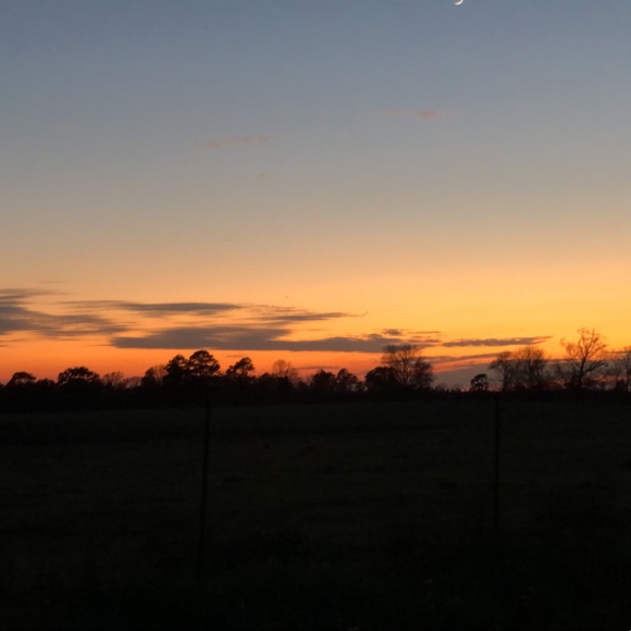 carolinesmith04